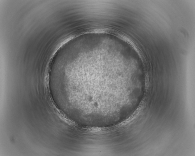 X0000111640827200908281155