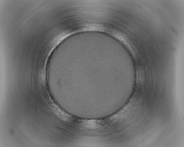 X0000111640828200908281155