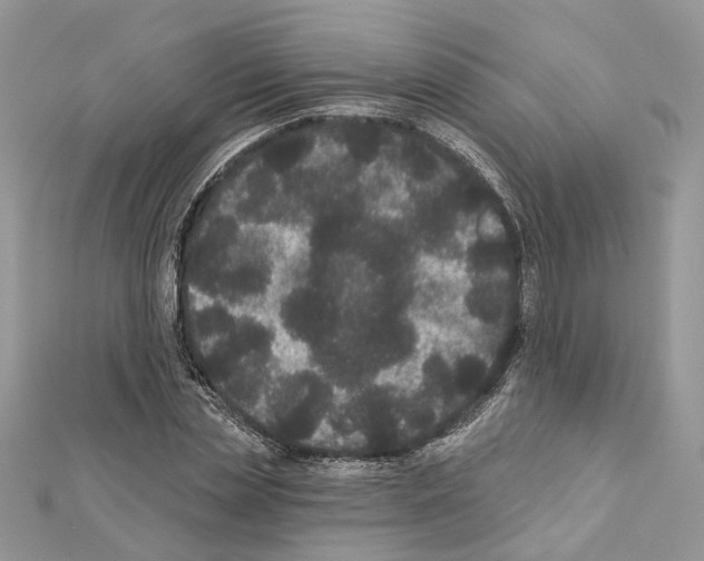 X0000111640829200908281155