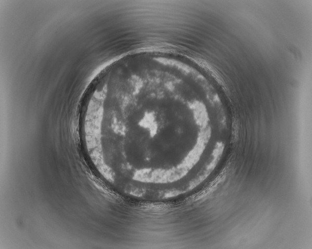 X0000111640830200908281155