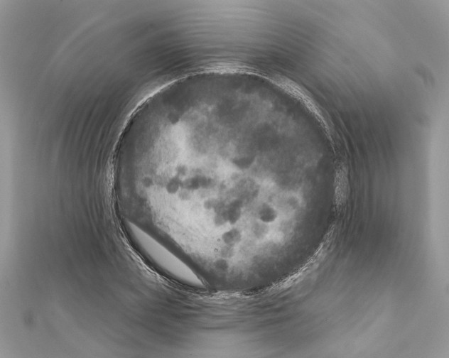 X0000111640831200908281155