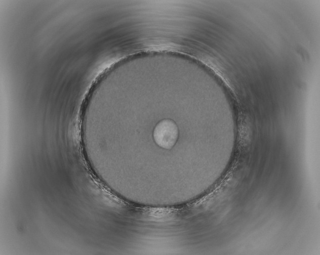 X0000111640832200908281155