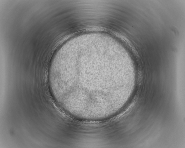 X0000111640833200908281155
