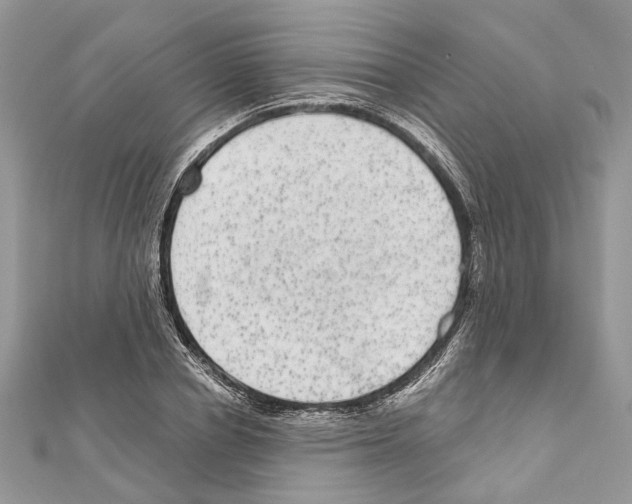X0000111640834200908281155