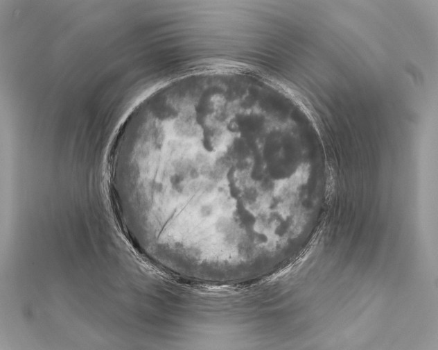 X0000111640835200908281155