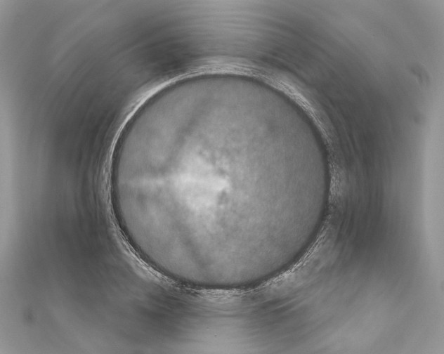 X0000111640836200908281155