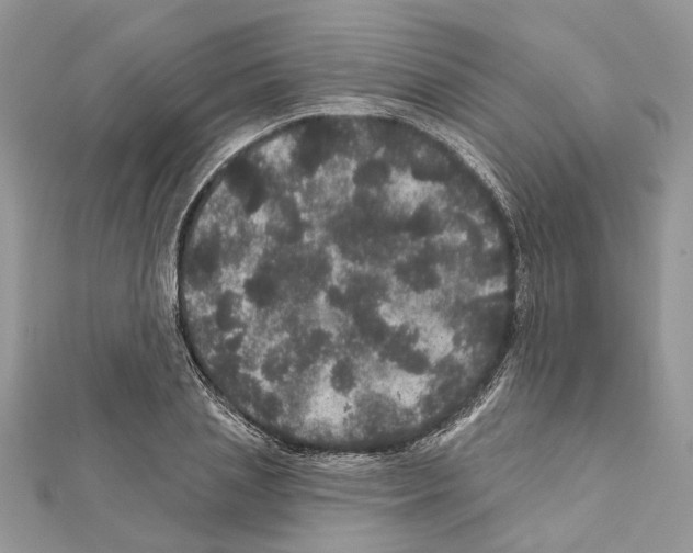 X0000111640837200908281155
