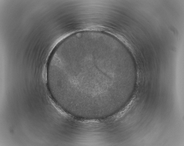 X0000111640838200908281155