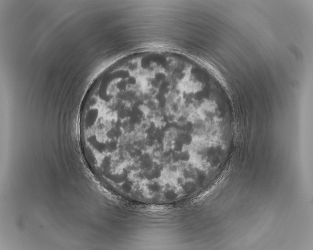 X0000111640839200908281155