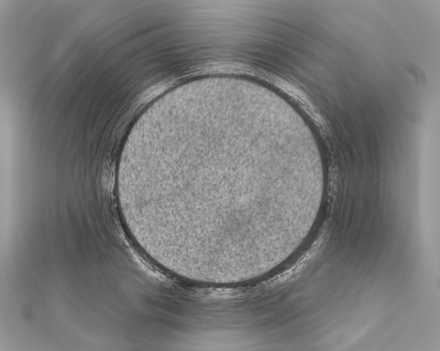 X0000111640841200908281155