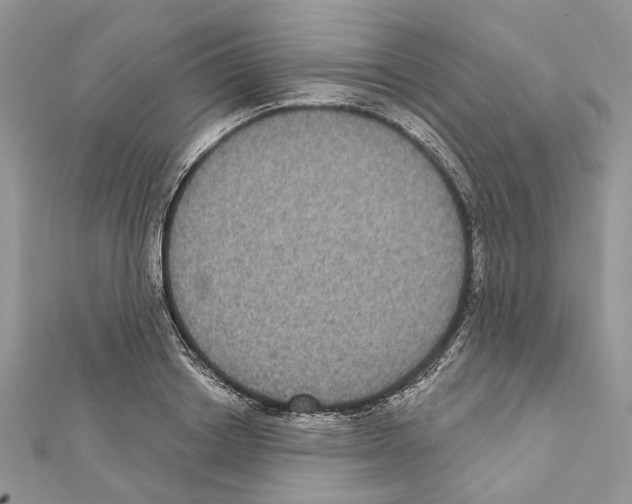 X0000111640842200908281155