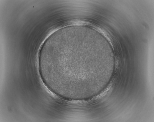 X0000111640843200908281155