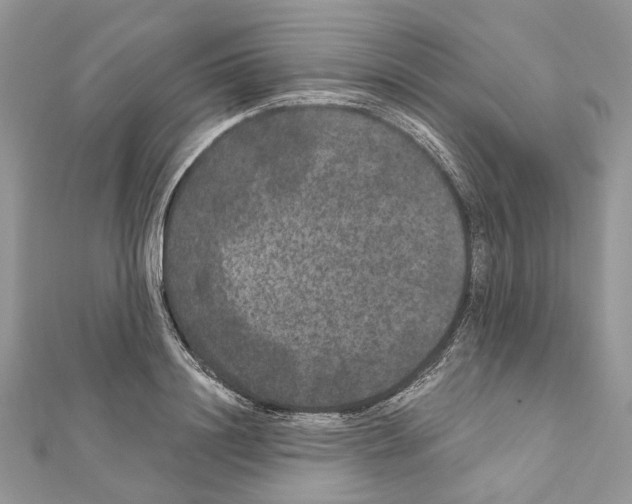 X0000111640844200908281155