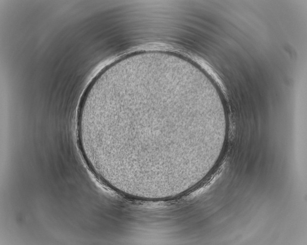 X0000111640845200908281155
