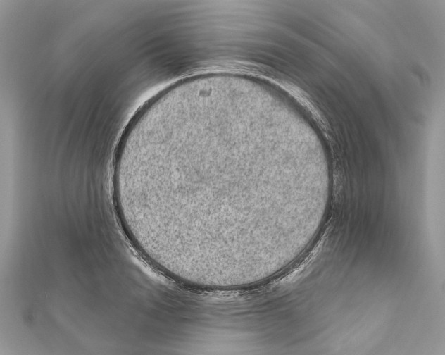 X0000111640846200908281155