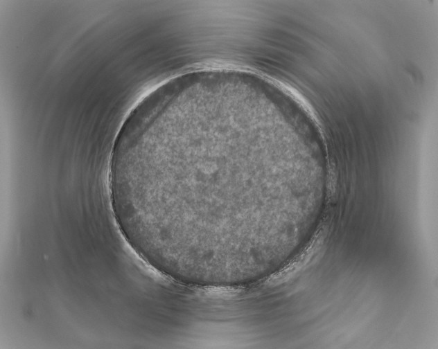 X0000111640847200908281155
