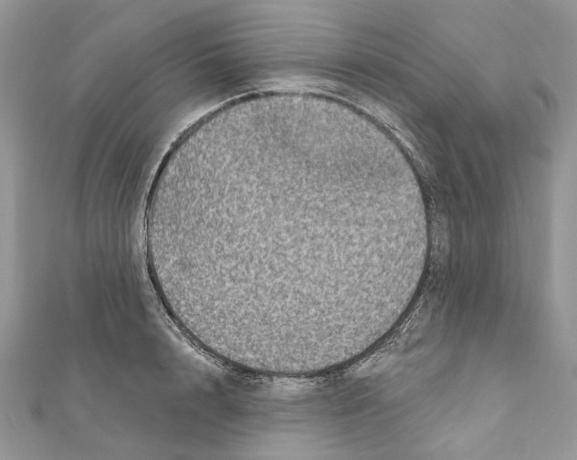 X0000111640848200908281155