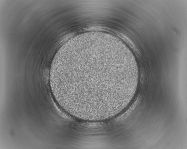 X0000111640849200908281155