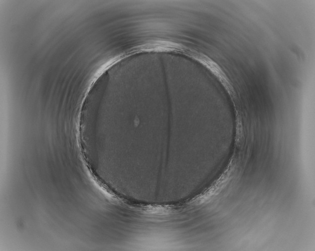 X0000111640850200908281155