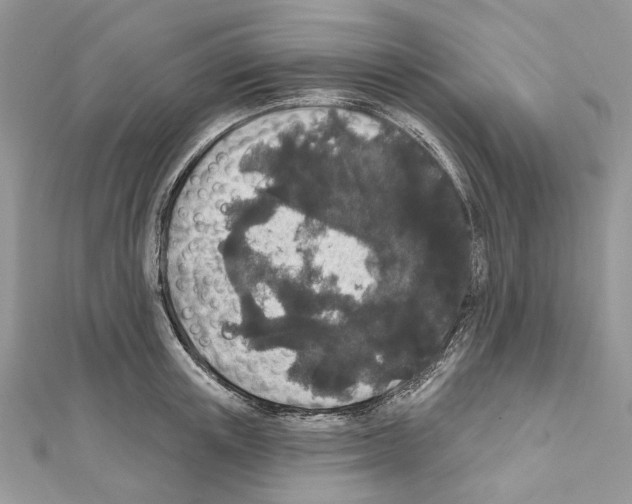 X0000111640851200908281155