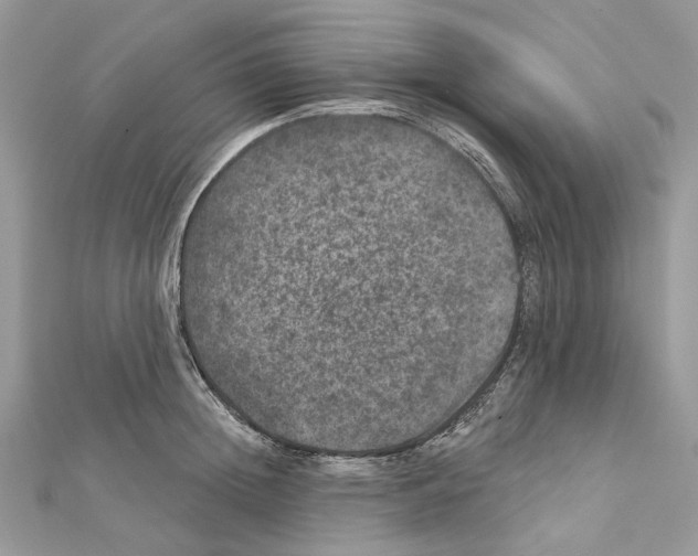 X0000111640852200908281155