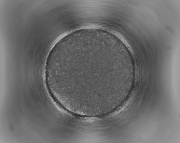 X0000111640853200908281155