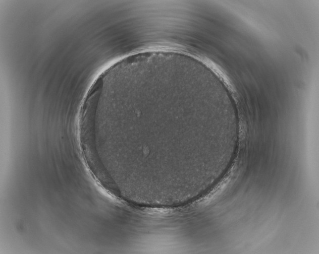 X0000111640854200908281155
