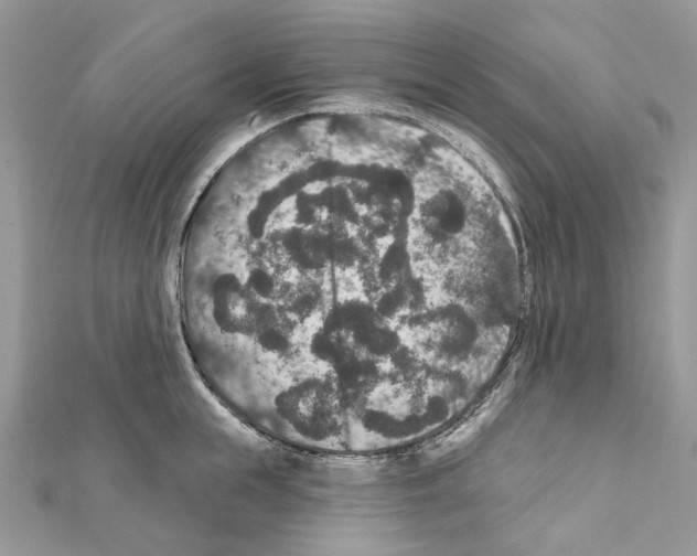 X0000111640855200908281156