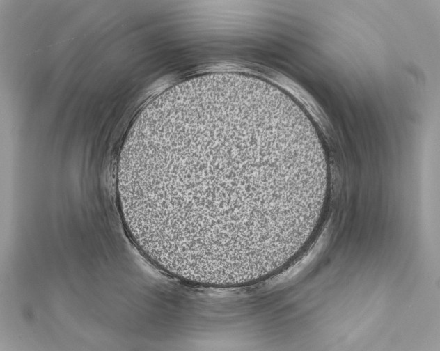X0000111640857200908281156