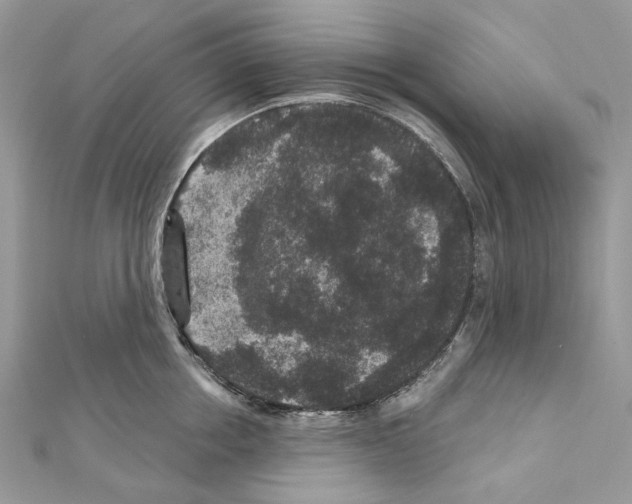 X0000111640858200908281156