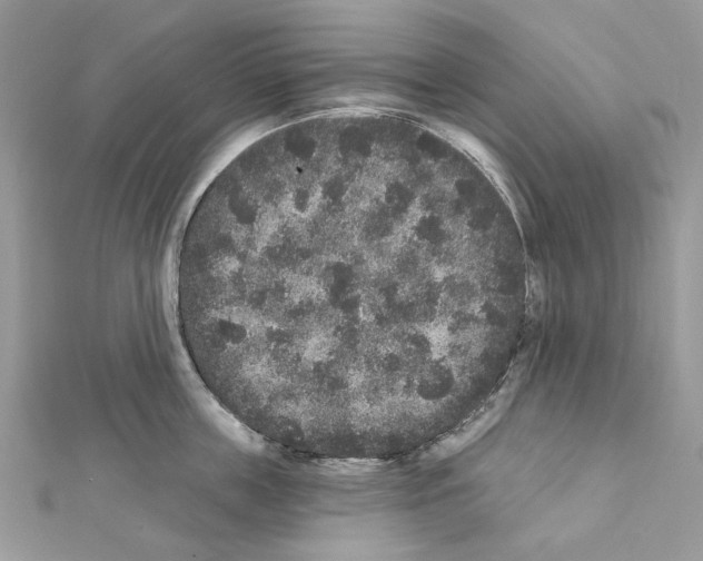 X0000111640859200908281156