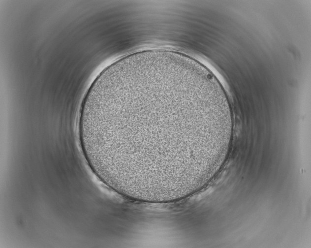 X0000111640861200908281156
