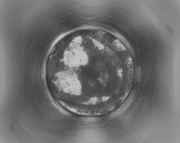X0000111640862200908281156