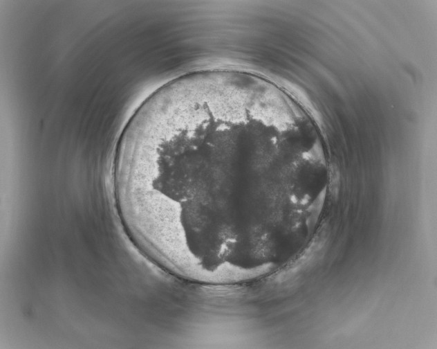 X0000111640863200908281156