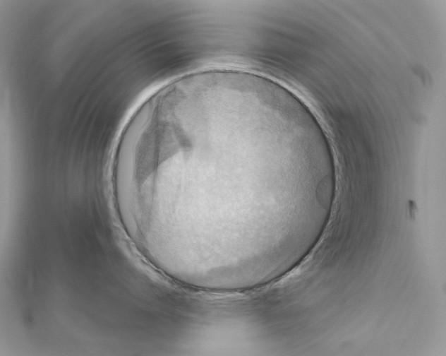 X0000111640864200908281156