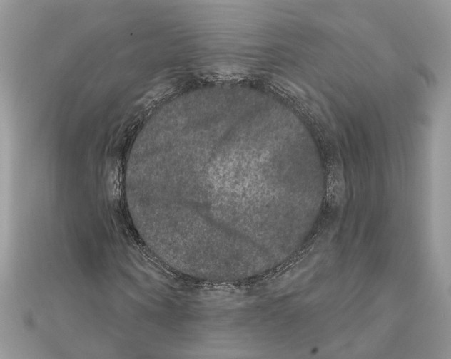 X0000111640866200908281155