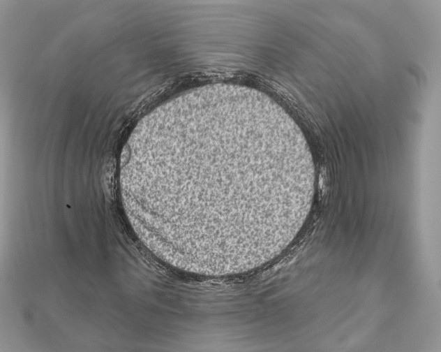 X0000111640867200908281155