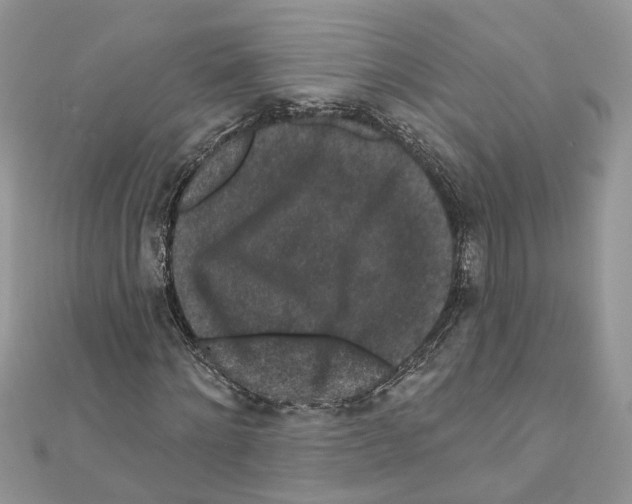 X0000111640868200908281155