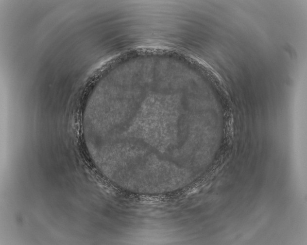 X0000111640870200908281155