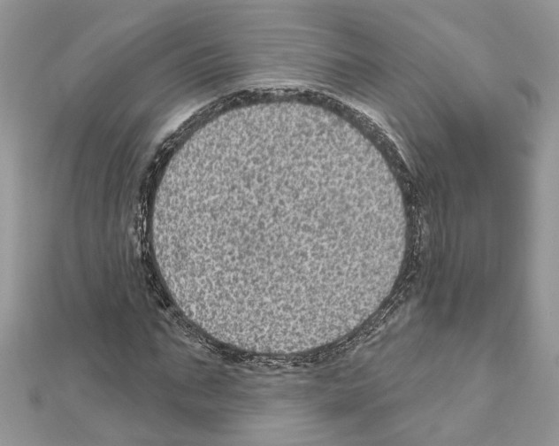 X0000111640871200908281155