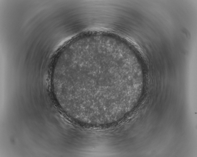 X0000111640872200908281155