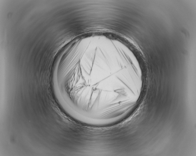 X0000111640873200908281155