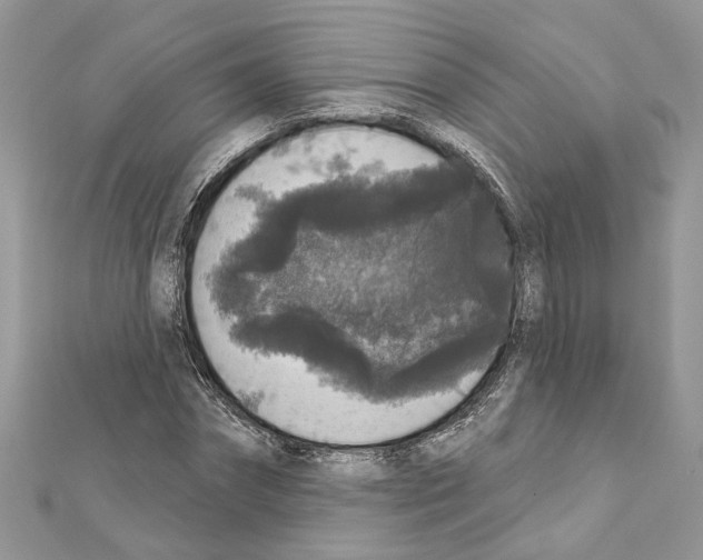 X0000111640874200908281155