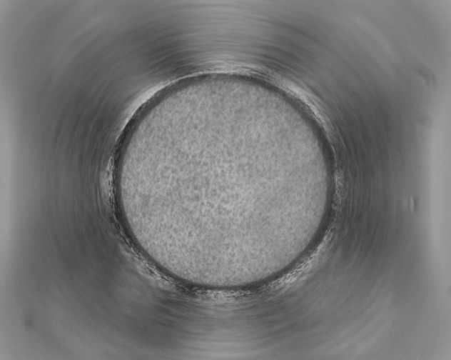 X0000111640875200908281155