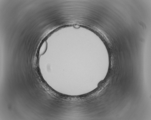 X0000111640876200908281155