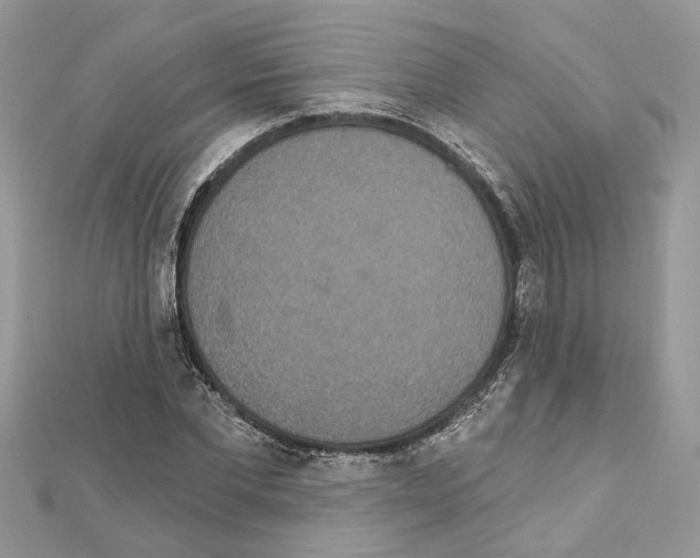 X0000111640877200908281155