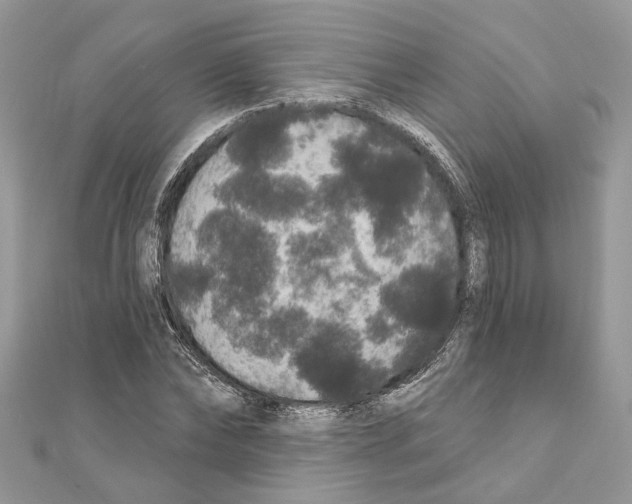 X0000111640878200908281155