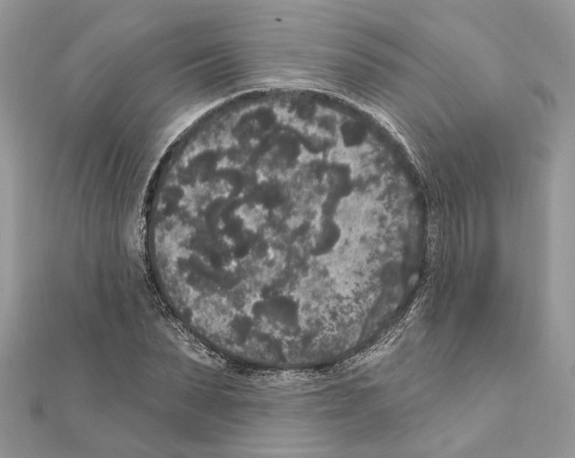 X0000111640879200908281155