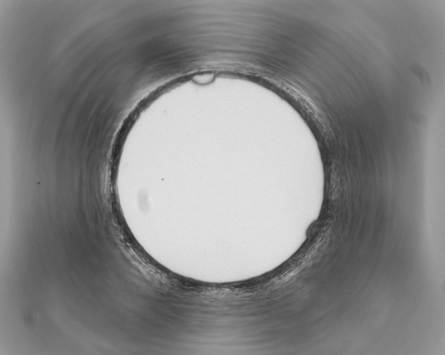 X0000111640880200908281155