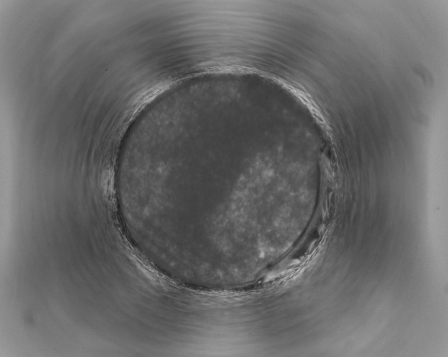 X0000111640881200908281155